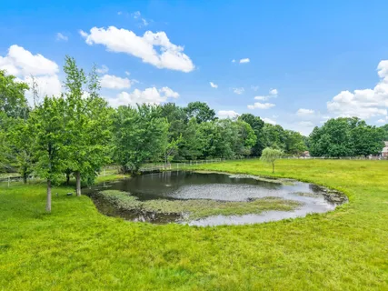 a view of a swimming pool with a yard