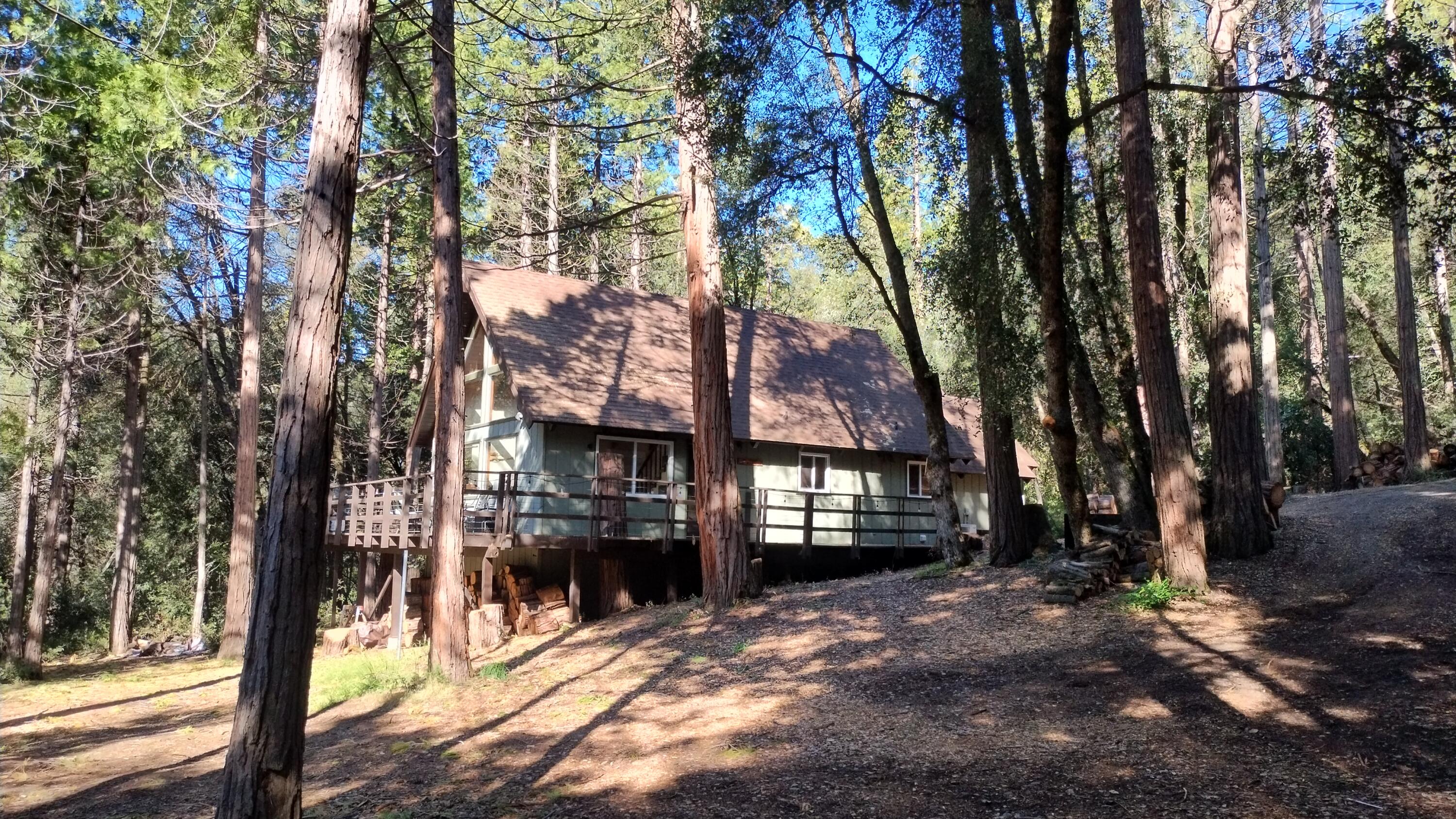 1693 Forest Rte 21S94 Camp Nelson, CA 93265 - Photo 76 of 86 a view of a house with a yard