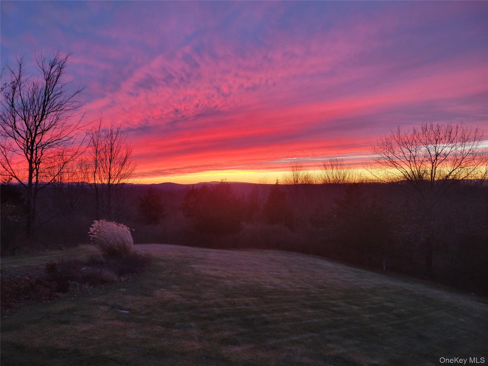 74 Willow Brook Ridge Clinton Corners, NY 12514 - Photo 42 of 44