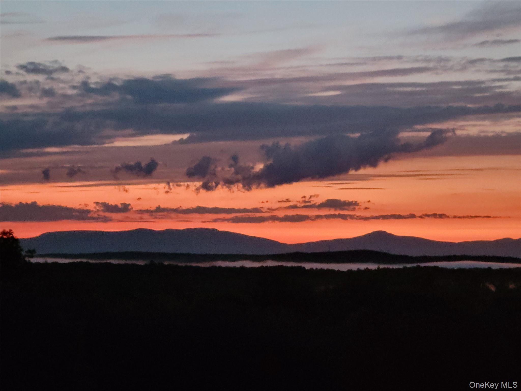 74 Willow Brook Ridge Clinton Corners, NY 12514 - Photo 43 of 44