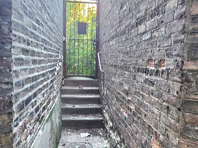 a view of outdoor space and deck view