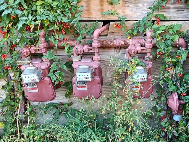 $339,000 | 1342 South Fairfield Avenue, Chicago, IL 60608