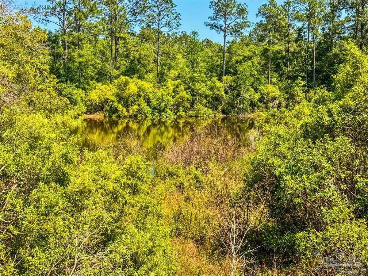 4997 Timber Ridge Drive Pace, FL 32571 - Photo 38 of 46