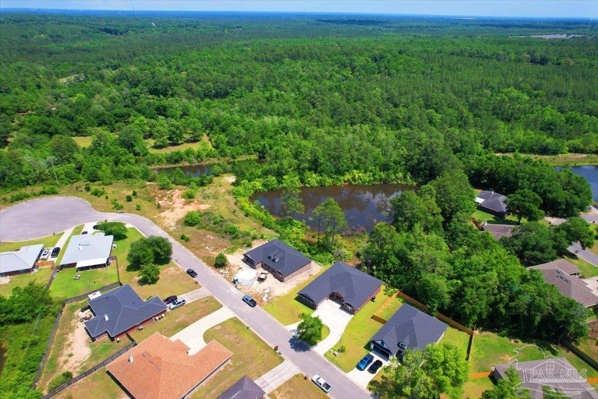 4997 Timber Ridge Drive Pace, FL 32571 - Photo 42 of 46