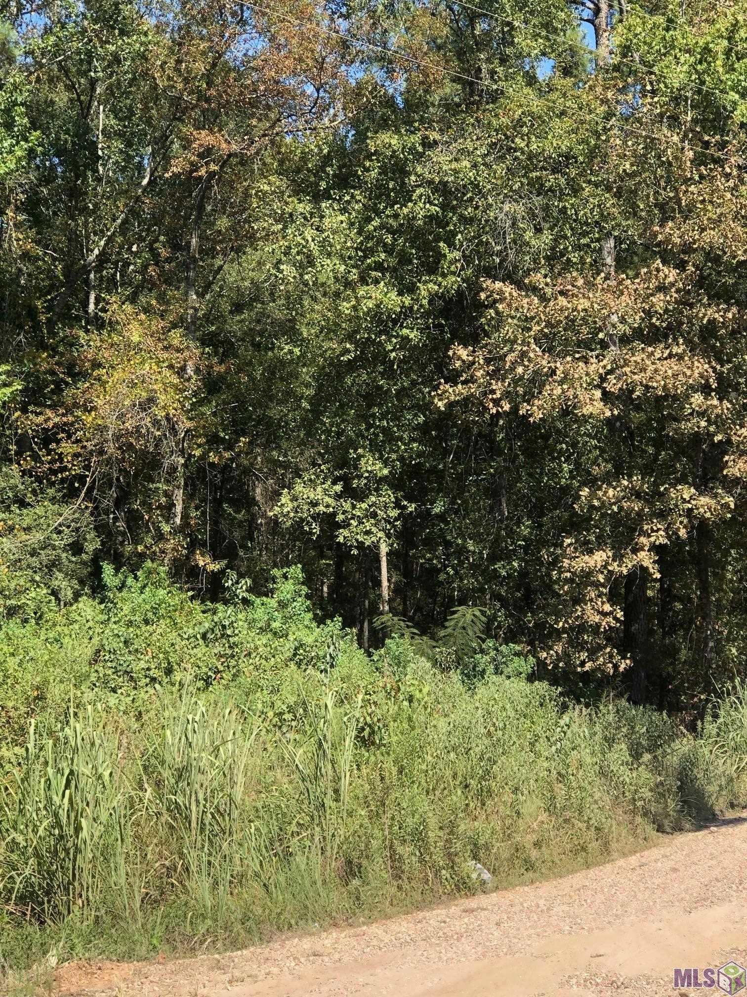 0 Idlewild Road Clinton, LA 70722 - Photo 3 of 5