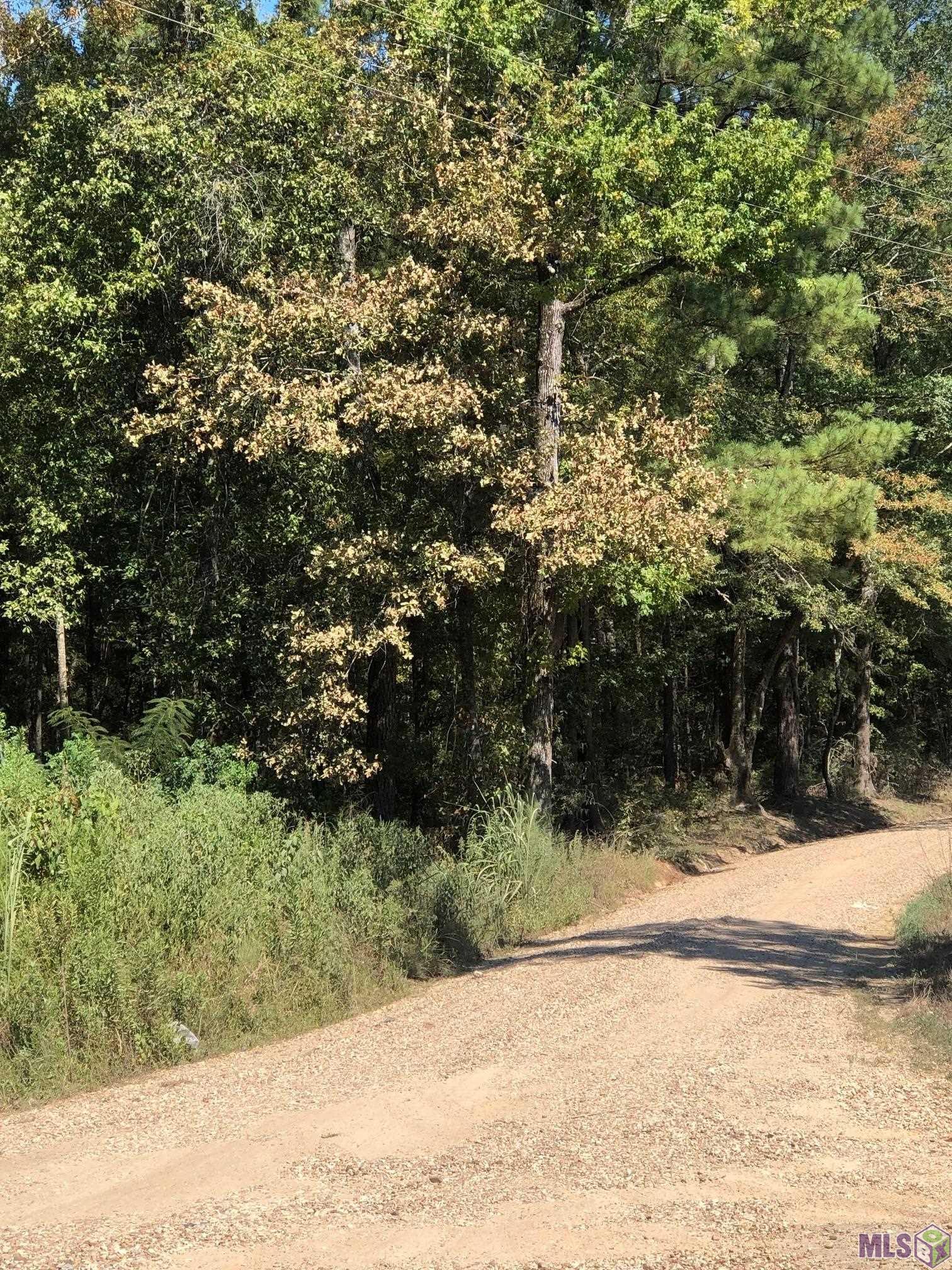 0 Idlewild Road Clinton, LA 70722 - Photo 4 of 5