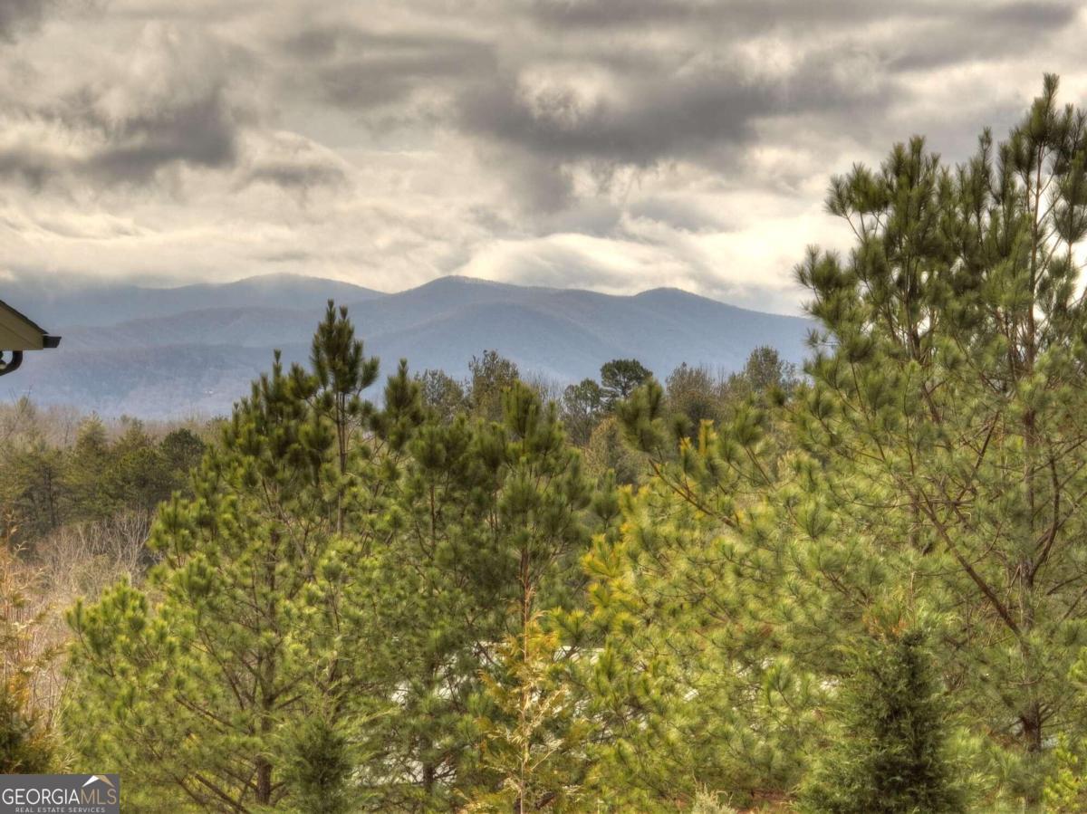 27 Emelia Road, Unit 27 Morganton, GA 30560 - Photo 1 of 1 Gallery Image 1