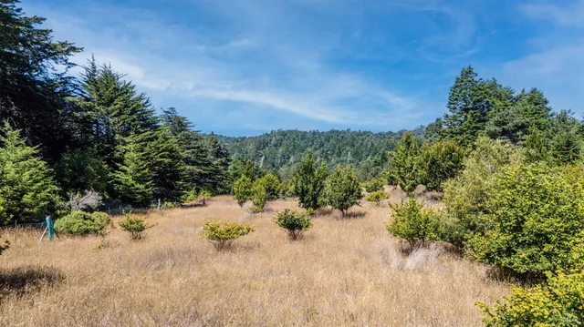 a view of a house with backyard and garden