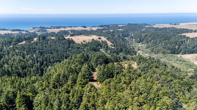 a view of a green field with lots of bushes