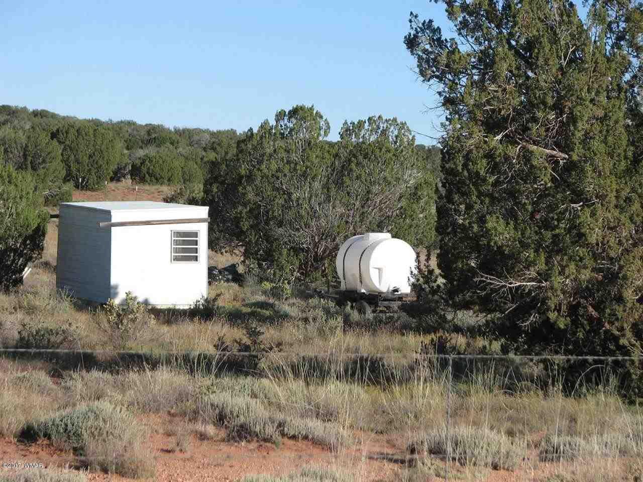 Lot 55 Chevelon Canyon Ranch, Unit 1 Overgaard, AZ 85933 - Photo 2 of 4