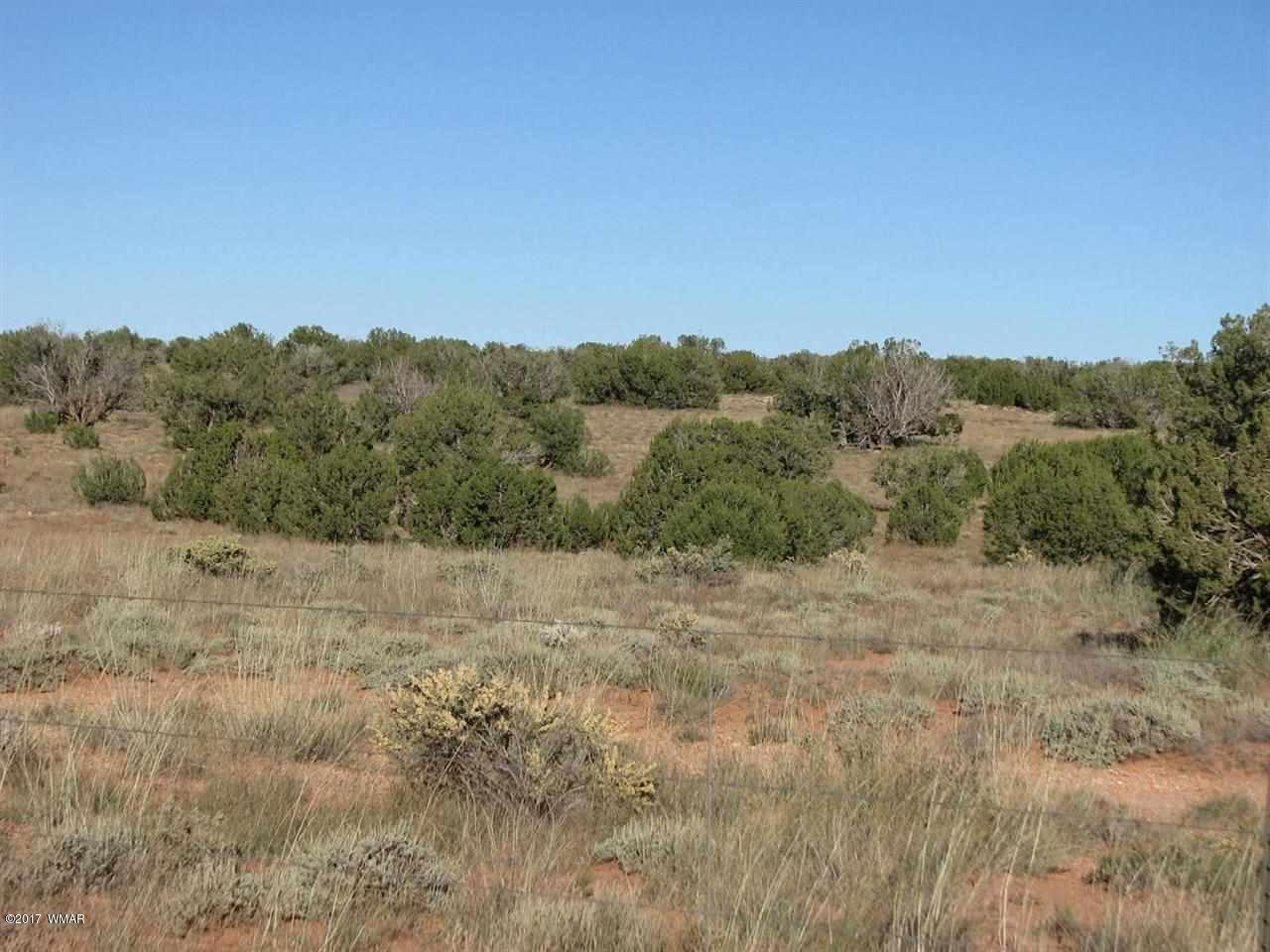 Lot 55 Chevelon Canyon Ranch, Unit 1 Overgaard, AZ 85933 - Photo 3 of 4
