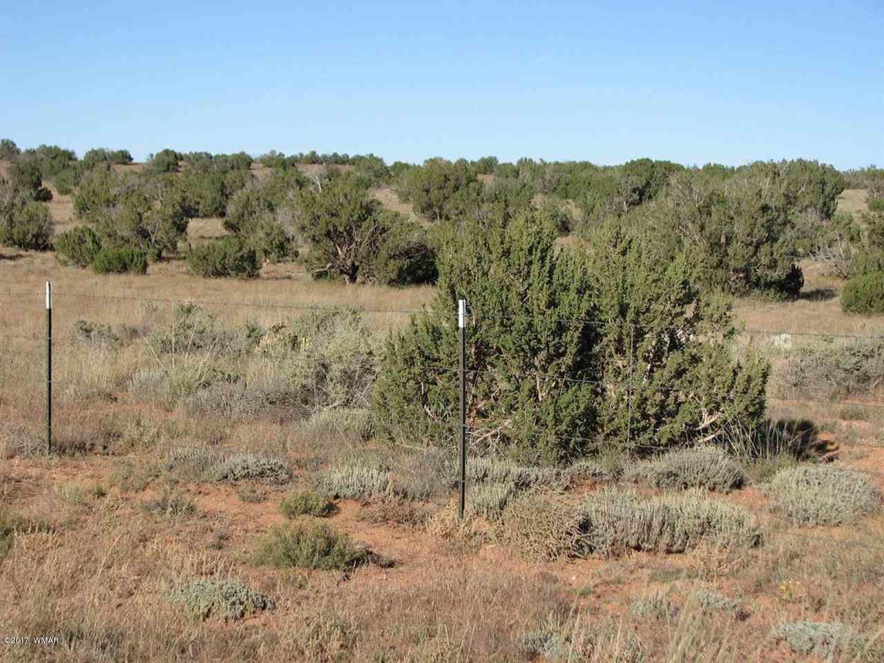 Lot 55 Chevelon Canyon Ranch, Unit 1 Overgaard, AZ 85933 - Photo 4 of 4