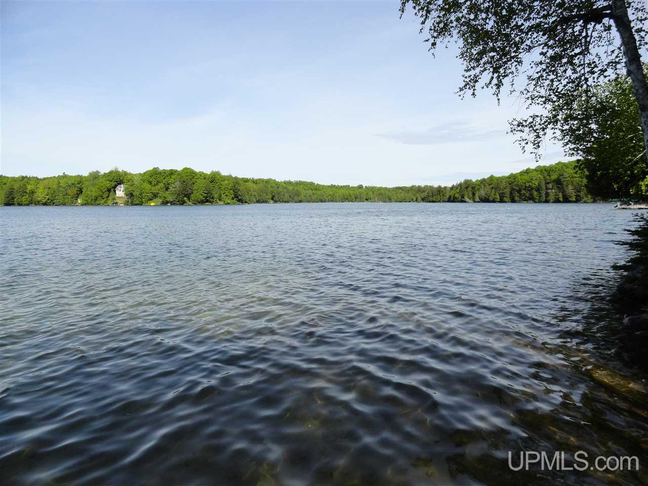 7202 Elm Road Republic, MI 49879 - Photo 33 of 36