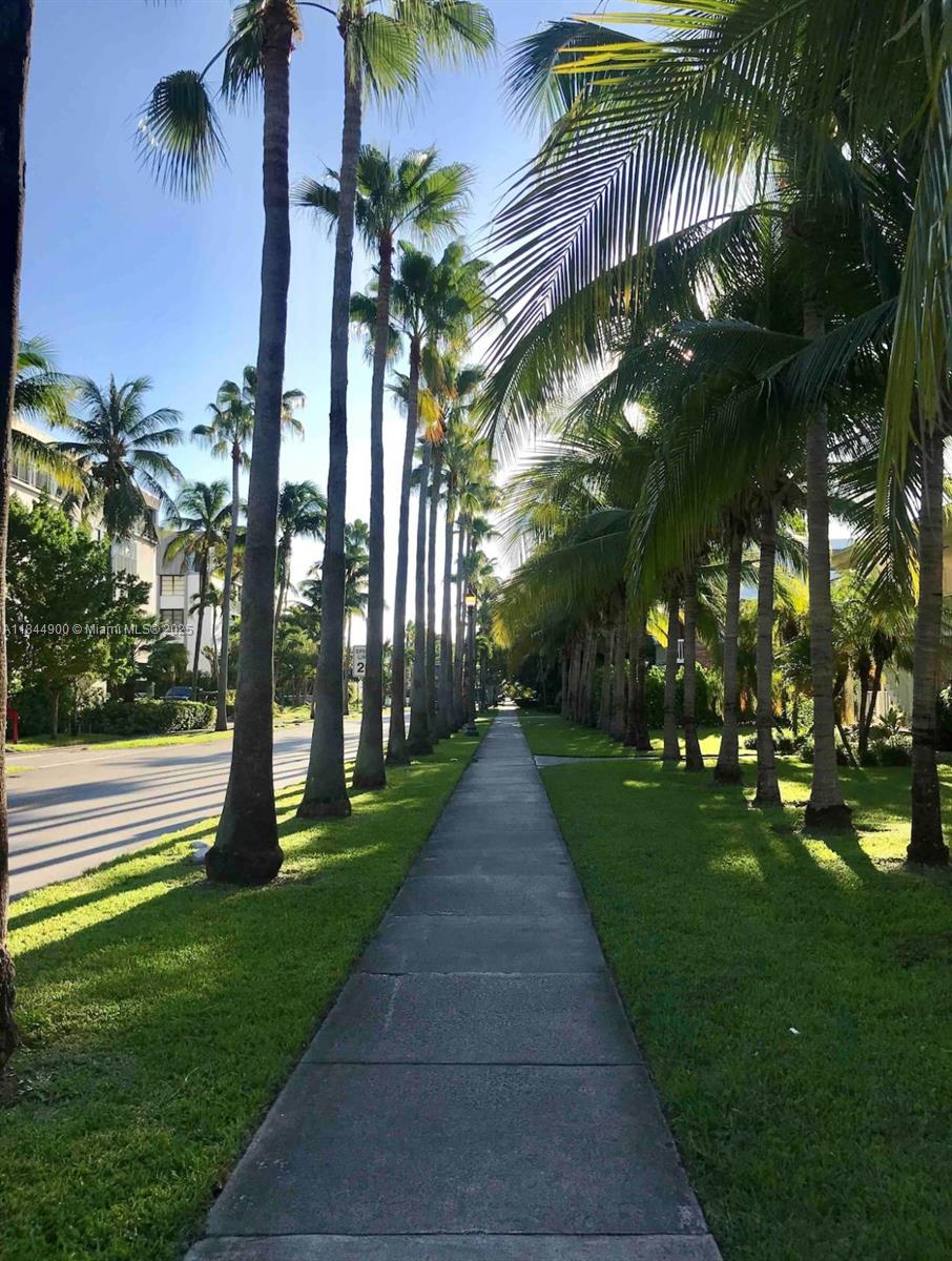 100 Sunrise Drive, Unit 27 Key Biscayne, FL 33149 - Photo 18 of 24 a view of a park with a park