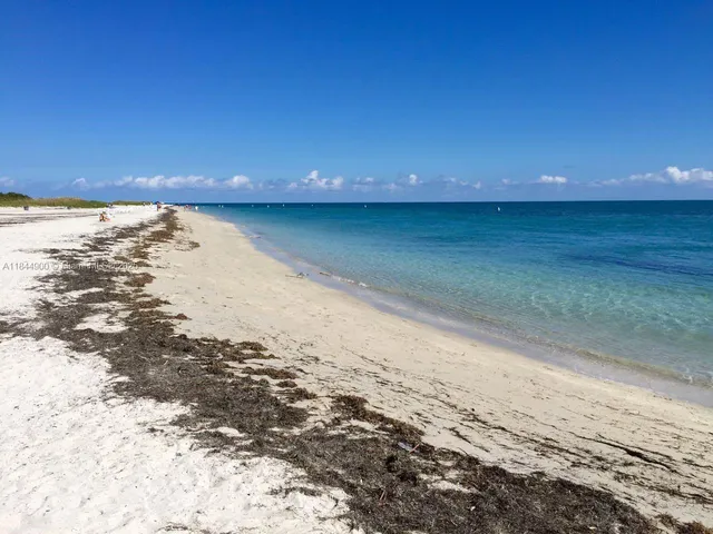 a view of a yard with palm trees