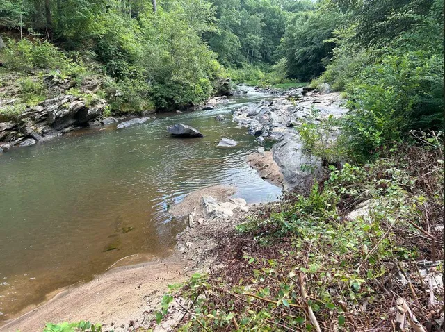 a picture of a painting on the wall