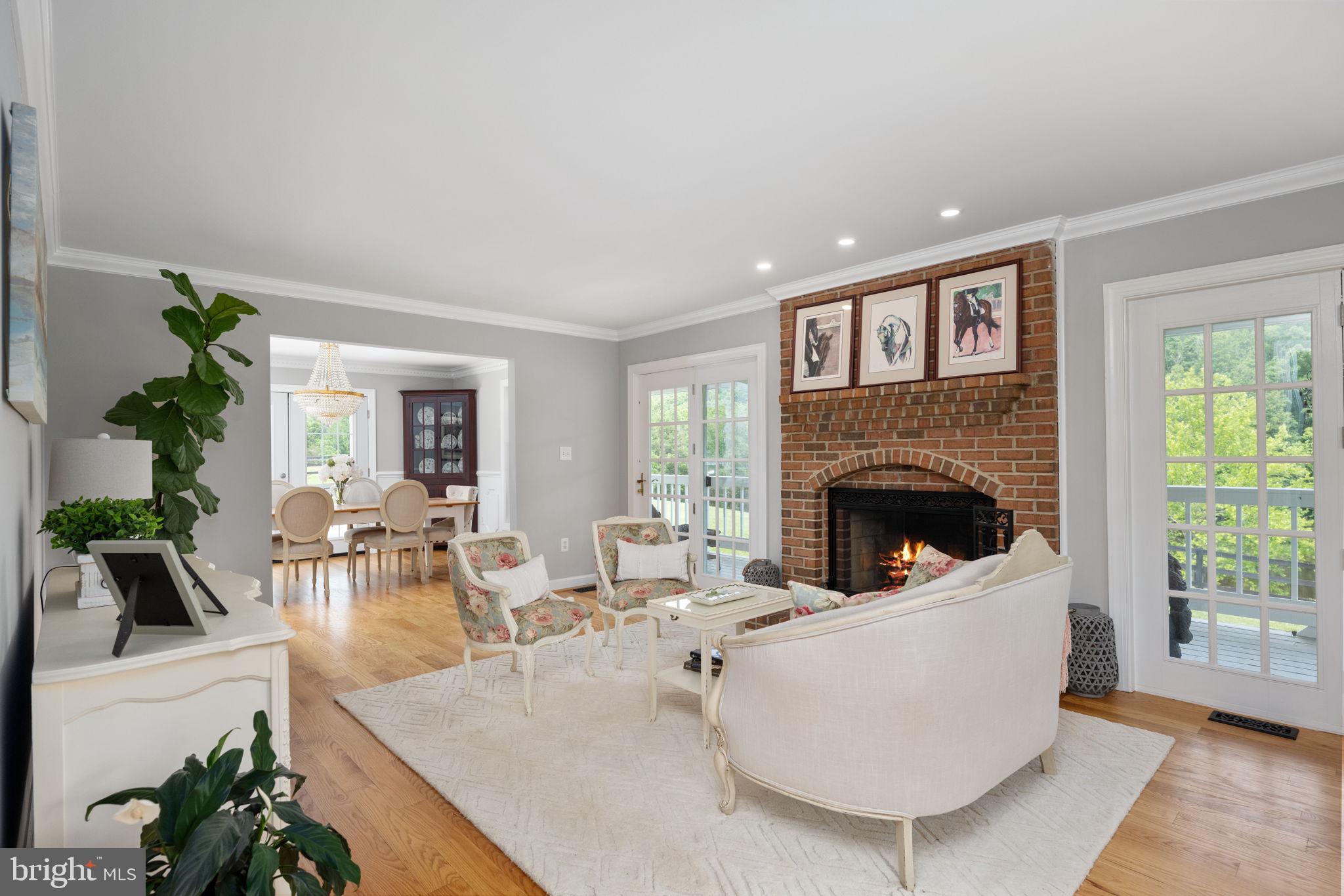 5191 Beach Ridge Lane Amissville, VA 20106 - Photo 21 of 91 a living room with furniture a fireplace and a potted plant