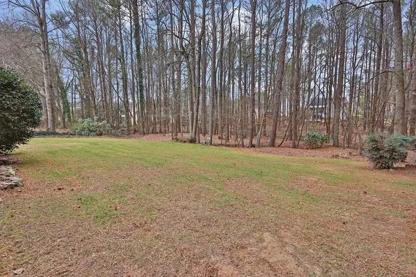 a view of a yard with large trees