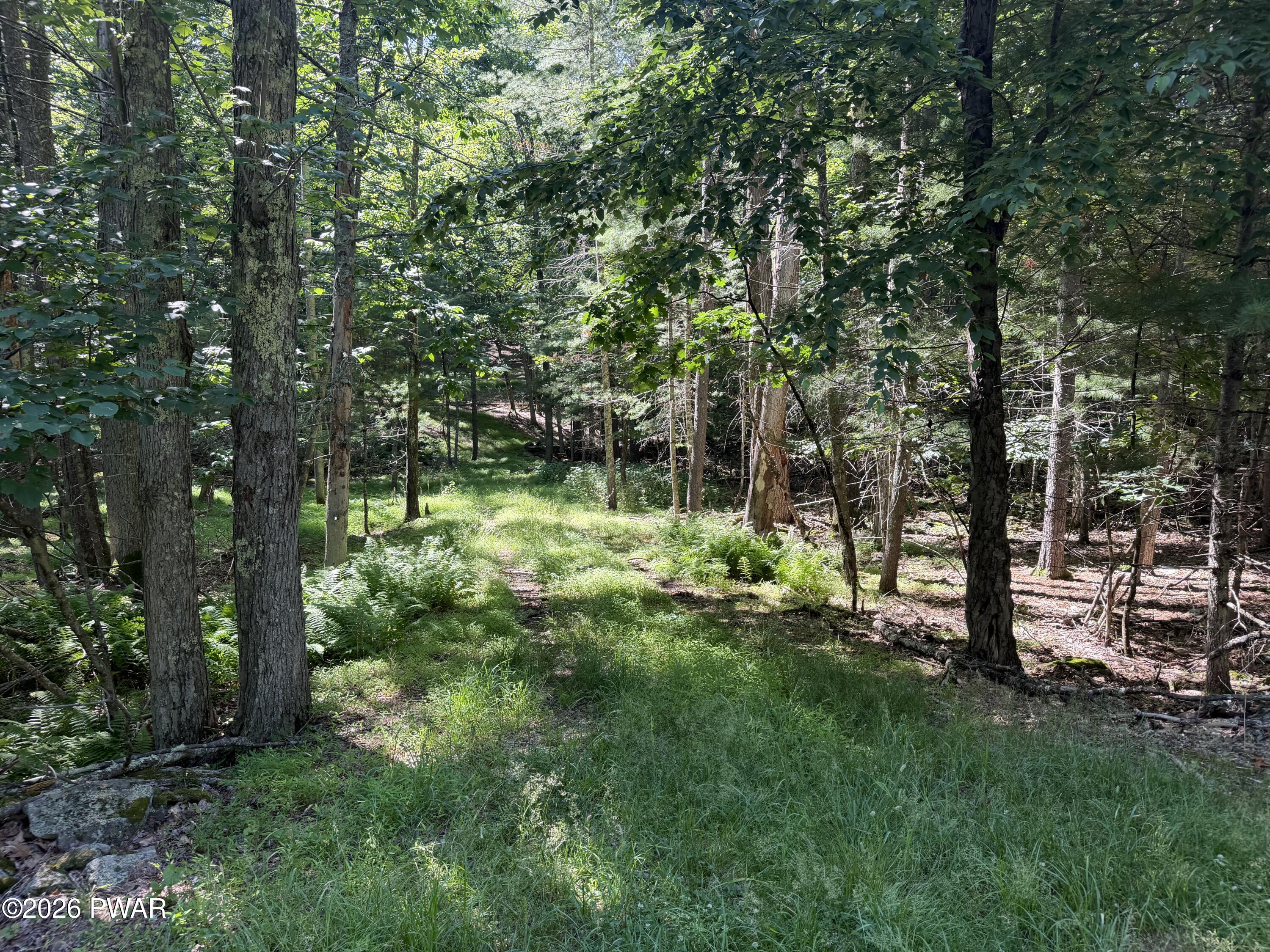 Spruce Street Hawley, PA 18428 - Photo 4 of 15 Gallery Image 4