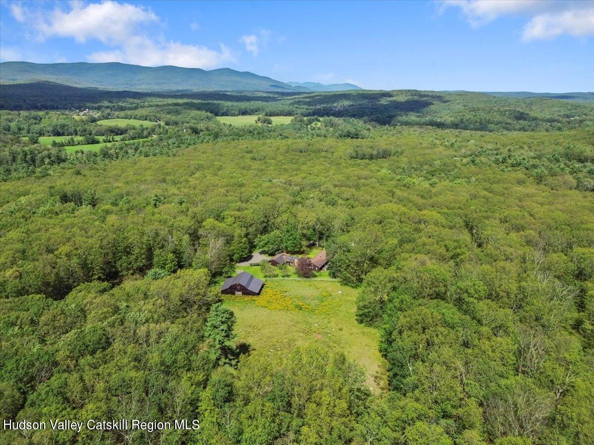 119 Mt Laurel Road Kerhonkson, NY 12446 - Photo 29 of 29 a view of a lush green forest with lots of trees