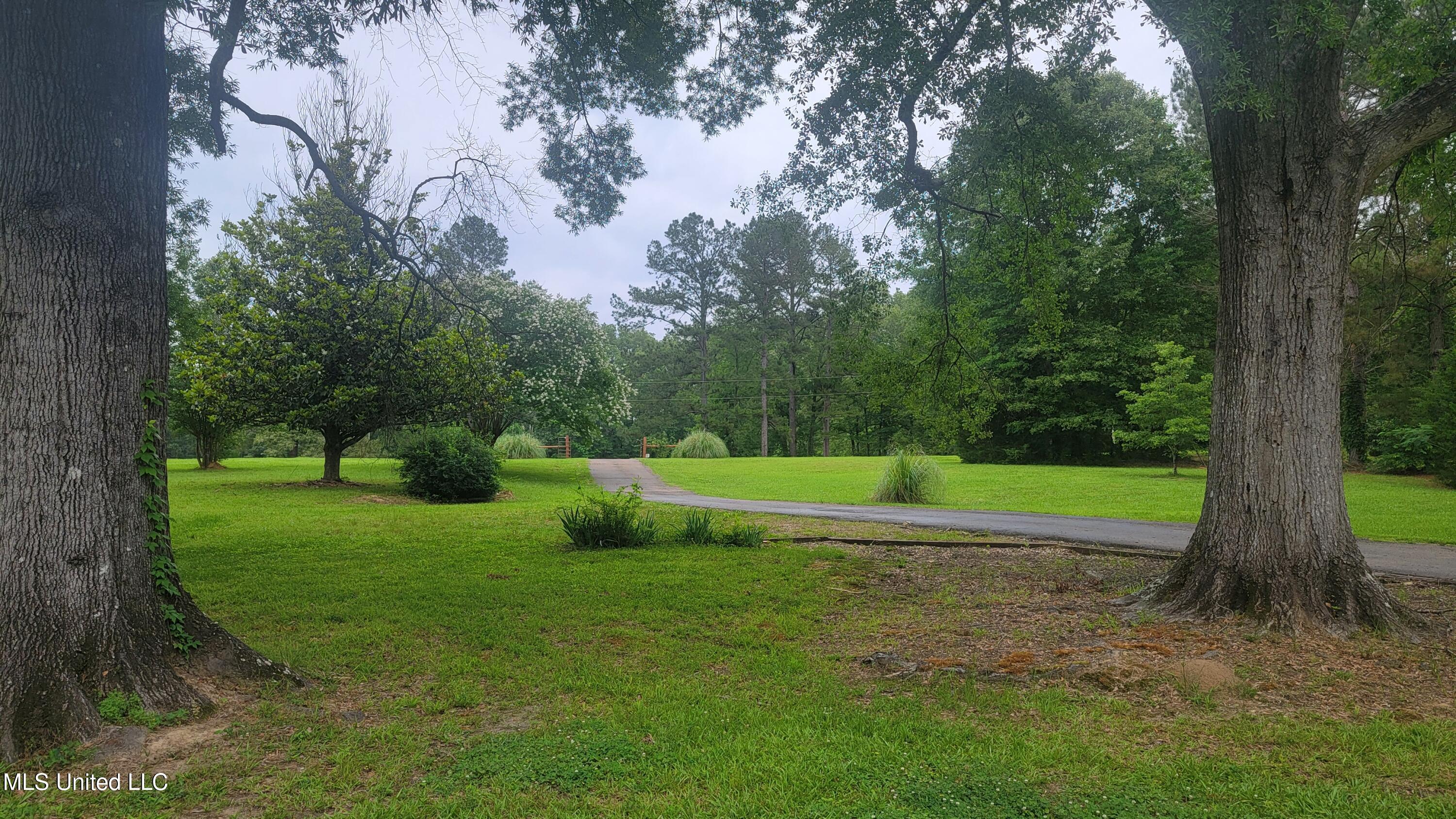 2257 Boyd Road Utica, MS 39175 - Photo 4 of 26 20250518_125805