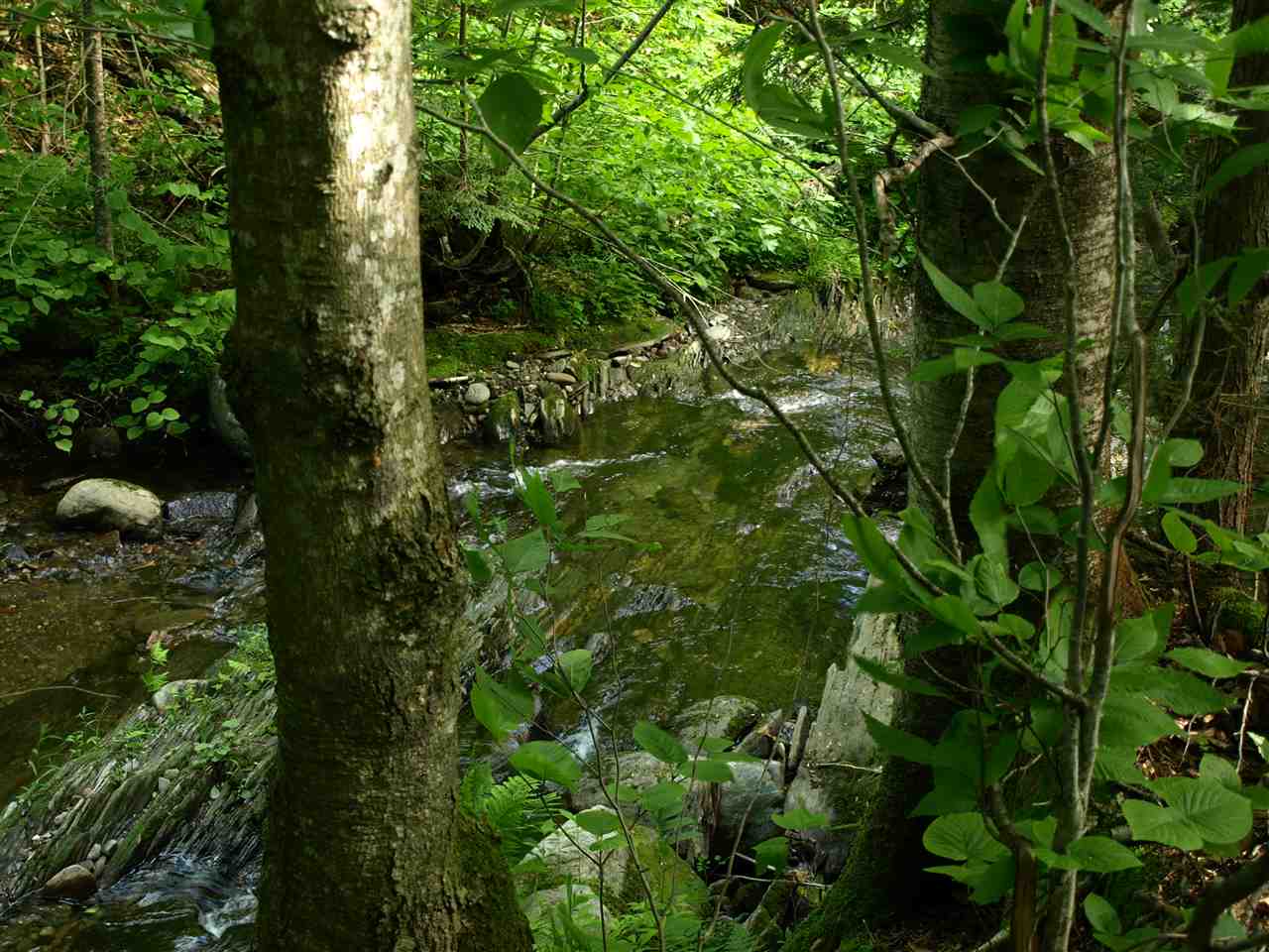 950 Stevens Mill Road Jay, VT 05859 - Photo 2 of 18 Gallery Image 2
