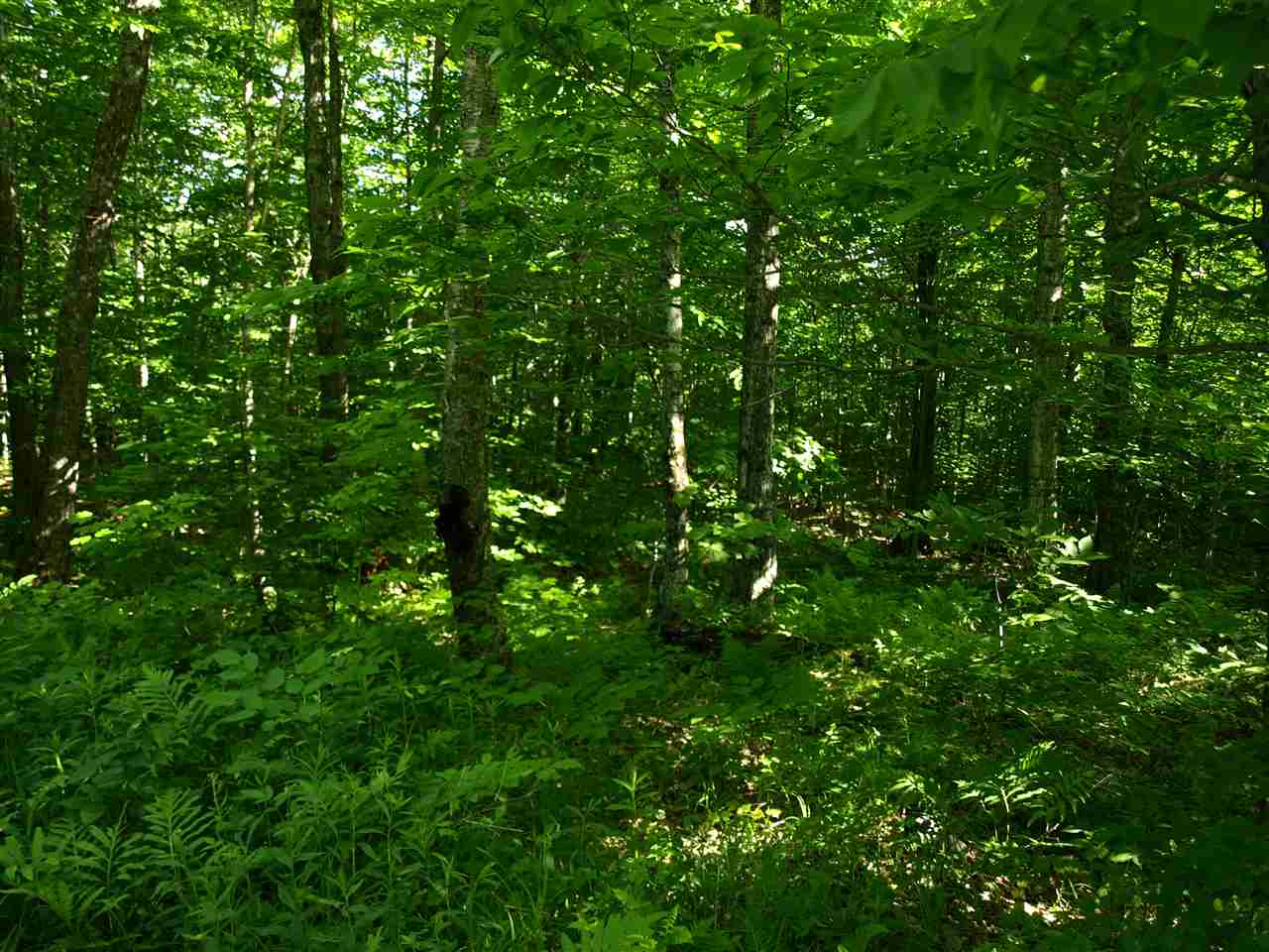950 Stevens Mill Road Jay, VT 05859 - Photo 11 of 18 Gallery Image 11