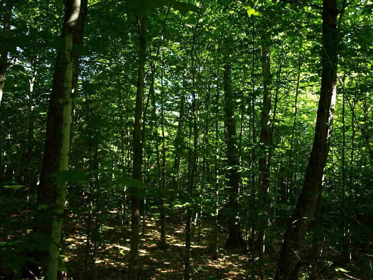 950 Stevens Mill Road Jay, VT 05859 - Photo 12 of 18 Gallery Image 12