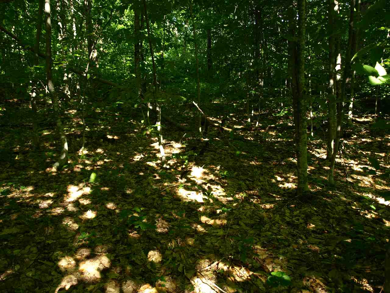950 Stevens Mill Road Jay, VT 05859 - Photo 13 of 18 Gallery Image 13