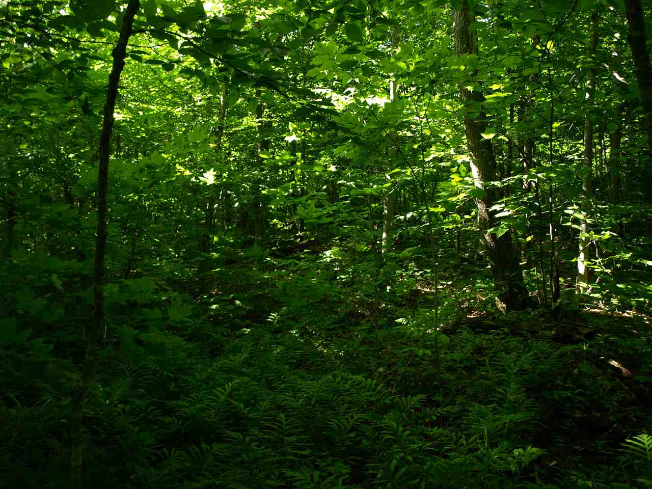 950 Stevens Mill Road Jay, VT 05859 - Photo 15 of 18 Gallery Image 15