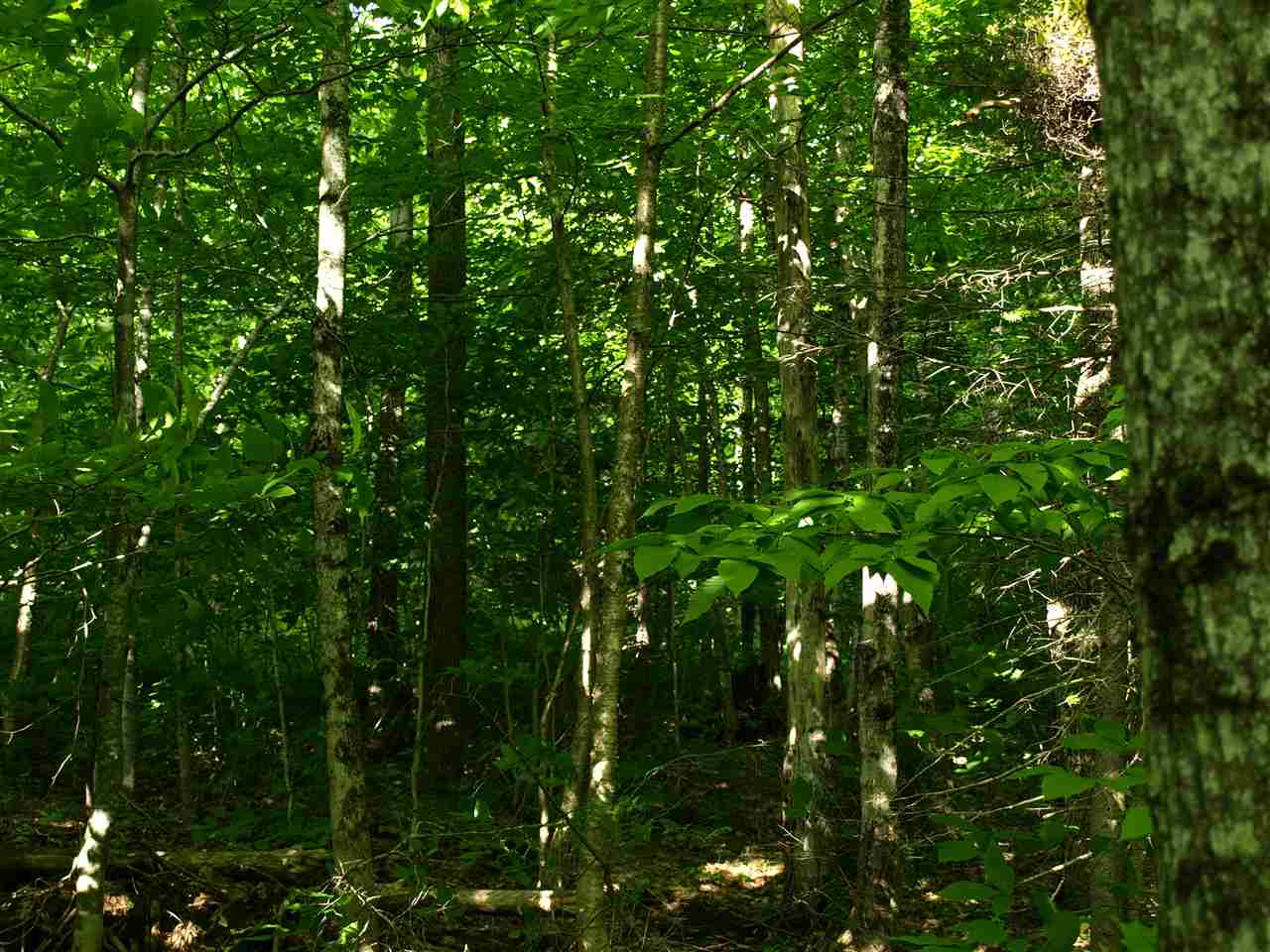 950 Stevens Mill Road Jay, VT 05859 - Photo 16 of 18 Gallery Image 16