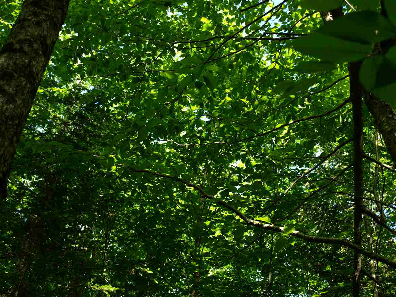 950 Stevens Mill Road Jay, VT 05859 - Photo 17 of 18 Gallery Image 17