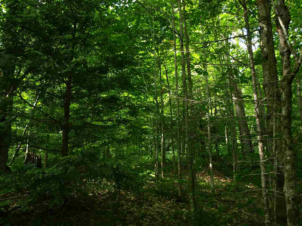 950 Stevens Mill Road Jay, VT 05859 - Photo 18 of 18 Gallery Image 18
