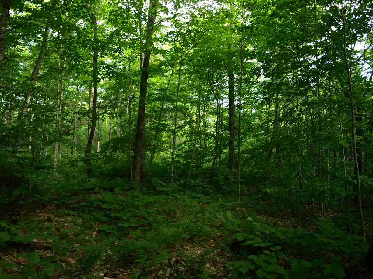 950 Stevens Mill Road Jay, VT 05859 - Photo 5 of 18 Gallery Image 5