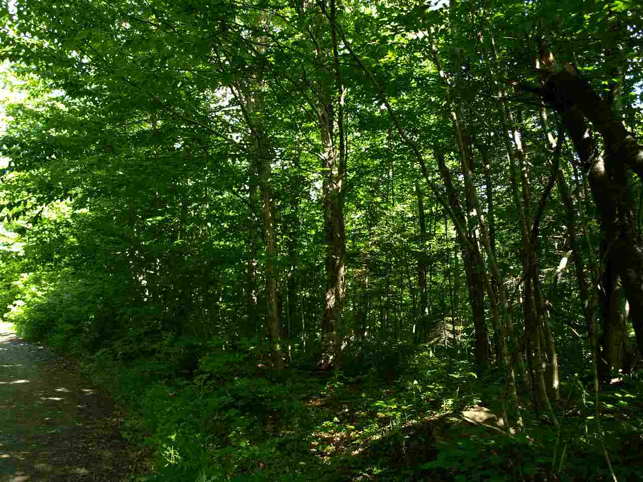 950 Stevens Mill Road Jay, VT 05859 - Photo 6 of 18 Gallery Image 6