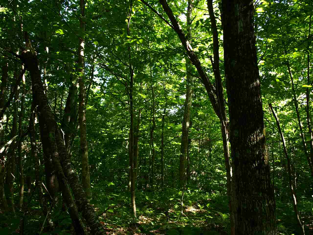 950 Stevens Mill Road Jay, VT 05859 - Photo 7 of 18 Gallery Image 7