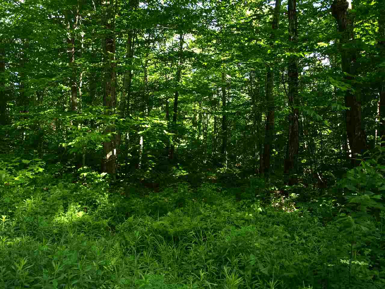 950 Stevens Mill Road Jay, VT 05859 - Photo 9 of 18 Gallery Image 9