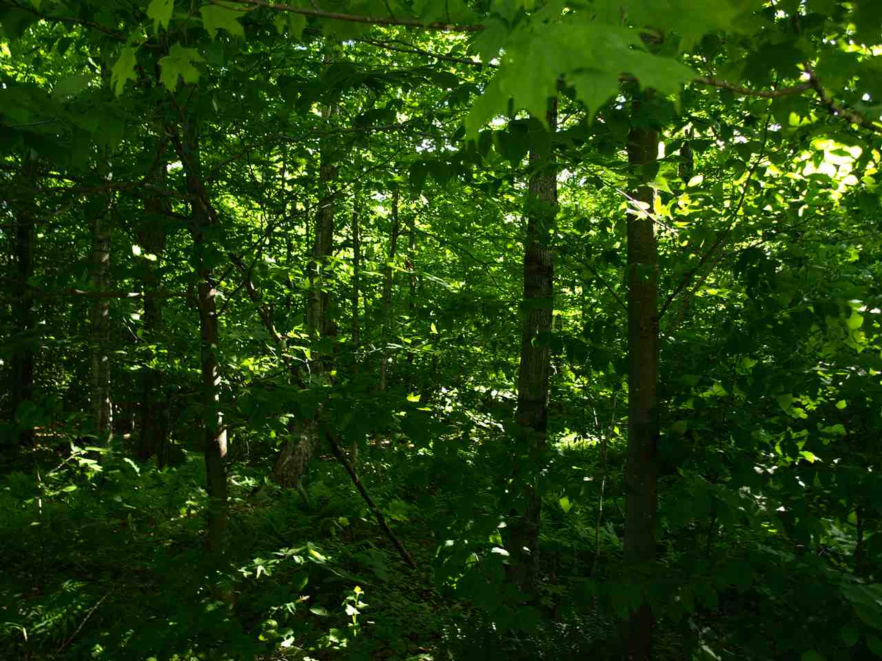 950 Stevens Mill Road Jay, VT 05859 - Photo 10 of 18 Gallery Image 10