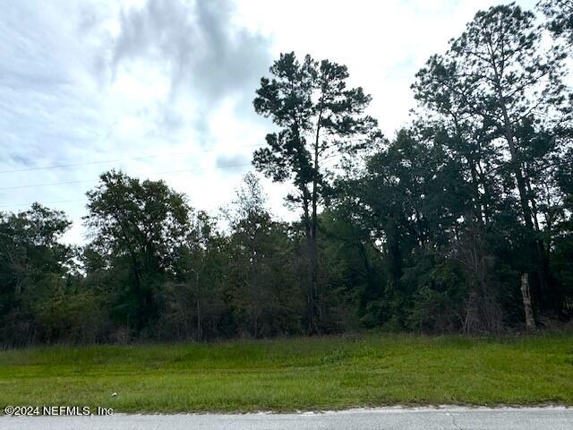 0 State Road 250 Sanderson, FL 32087 - Photo 3 of 3 a view of a grassy field