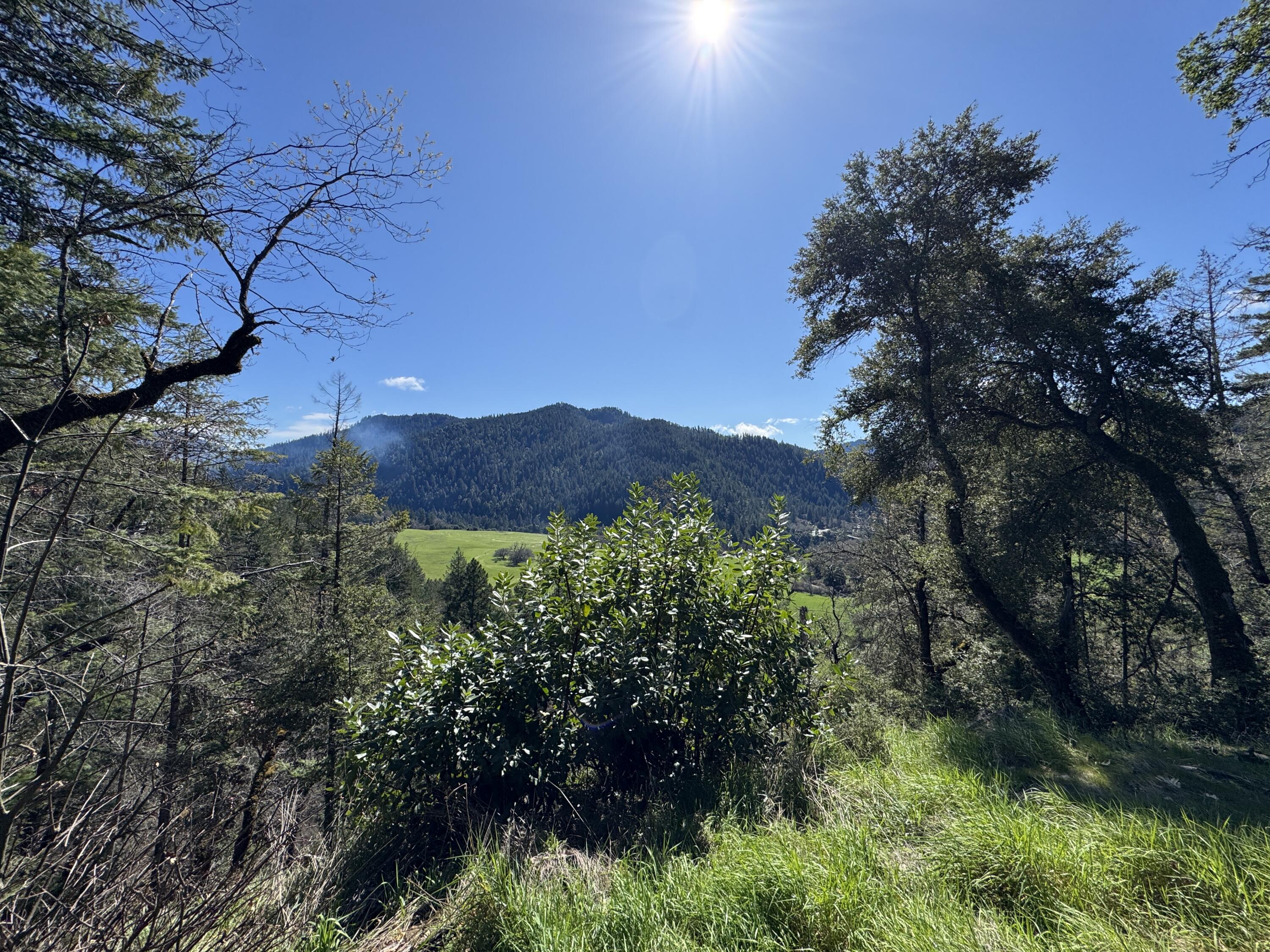 1330 Salyer Loop Road Salyer, CA 95563 - Photo 9 of 26