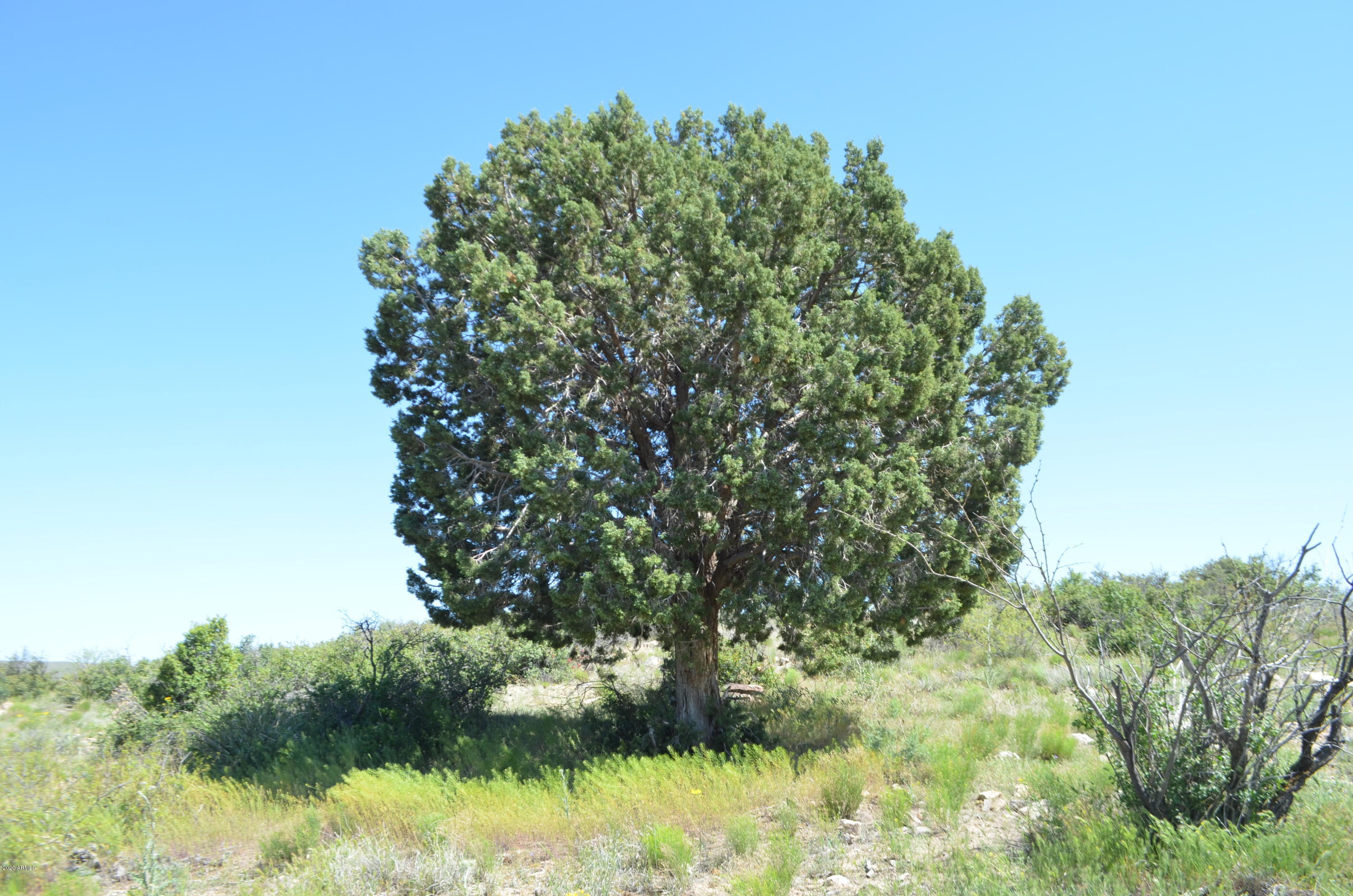214 A Ruger Ranch, Unit 214A Kirkland, AZ 86332 - Photo 11 of 35 DSC_2614