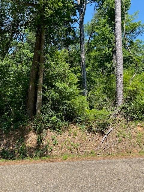 0 North River Road Kentwood, LA 70444 - Photo 2 of 5