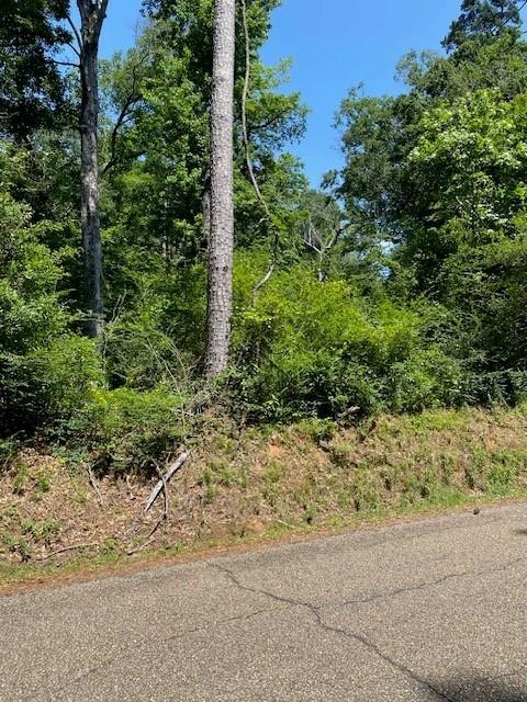 0 North River Road Kentwood, LA 70444 - Photo 3 of 5