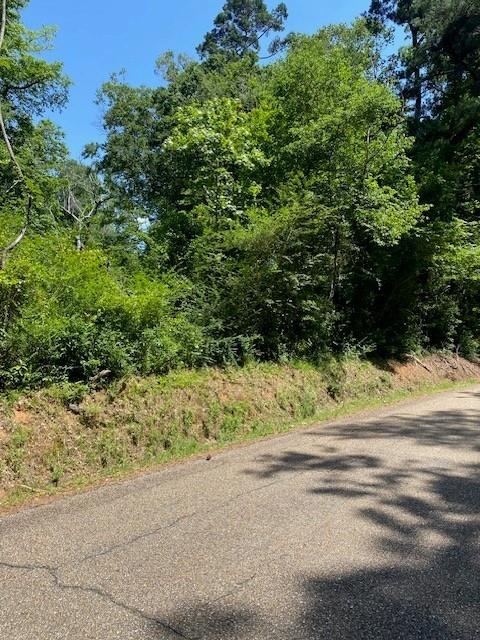 0 North River Road Kentwood, LA 70444 - Photo 4 of 5