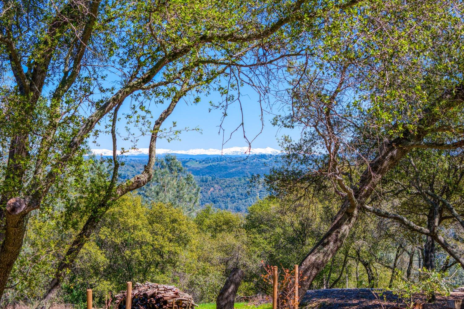 5161 Coyote Pass Road Shingle Springs, CA 95682 - Photo 24 of 48