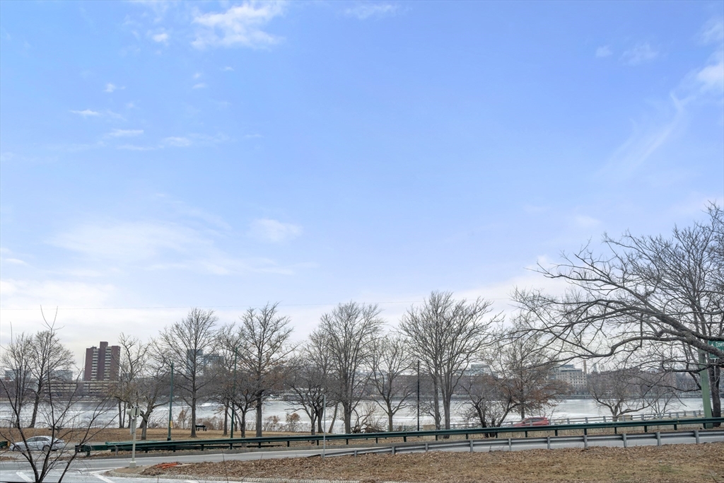 37 Bay State Road, Unit 3 Boston, MA 02215 - Photo 17 of 18 a view of a city view