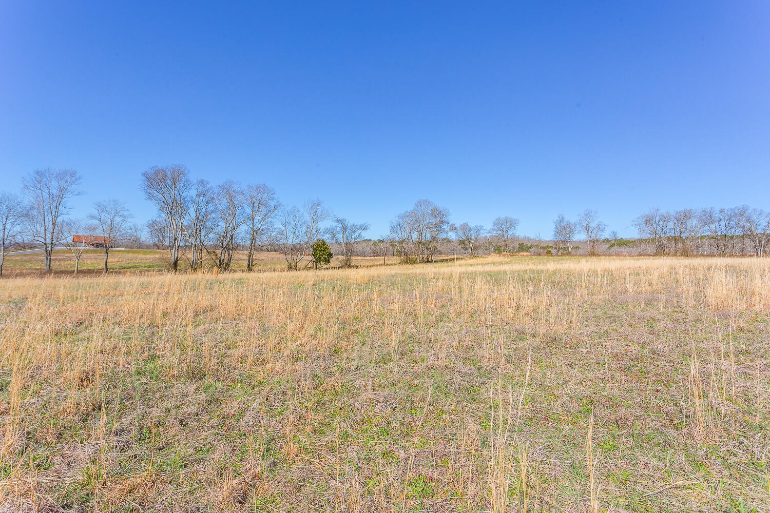 0 Edgewater Way Jasper, TN 37347 - Photo 9 of 35