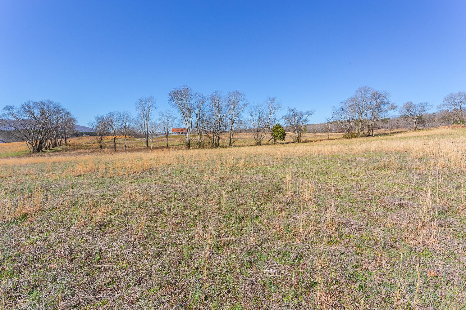 0 Edgewater Way Jasper, TN 37347 - Photo 10 of 35