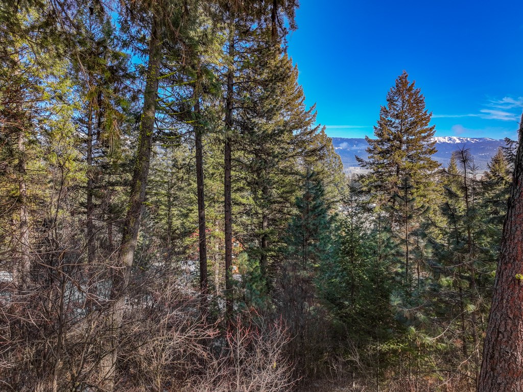 2-b 27 Hogan Road, Unit 2 New Meadows, ID 83654 - Photo 12 of 13