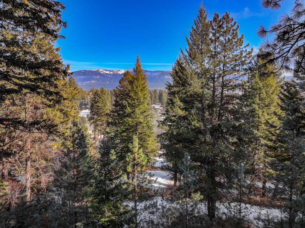 2-b 27 Hogan Road, Unit 2 New Meadows, ID 83654 - Photo 3 of 13